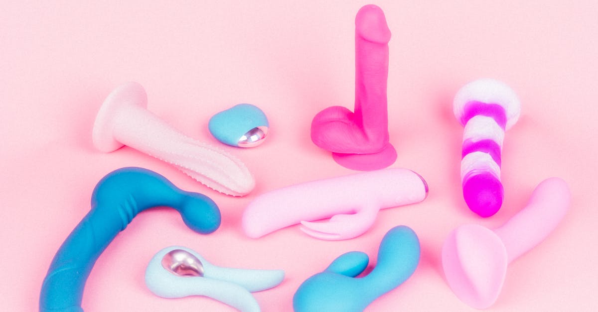 Historical Overview of Intimacy and the Introduction of Sex Toys